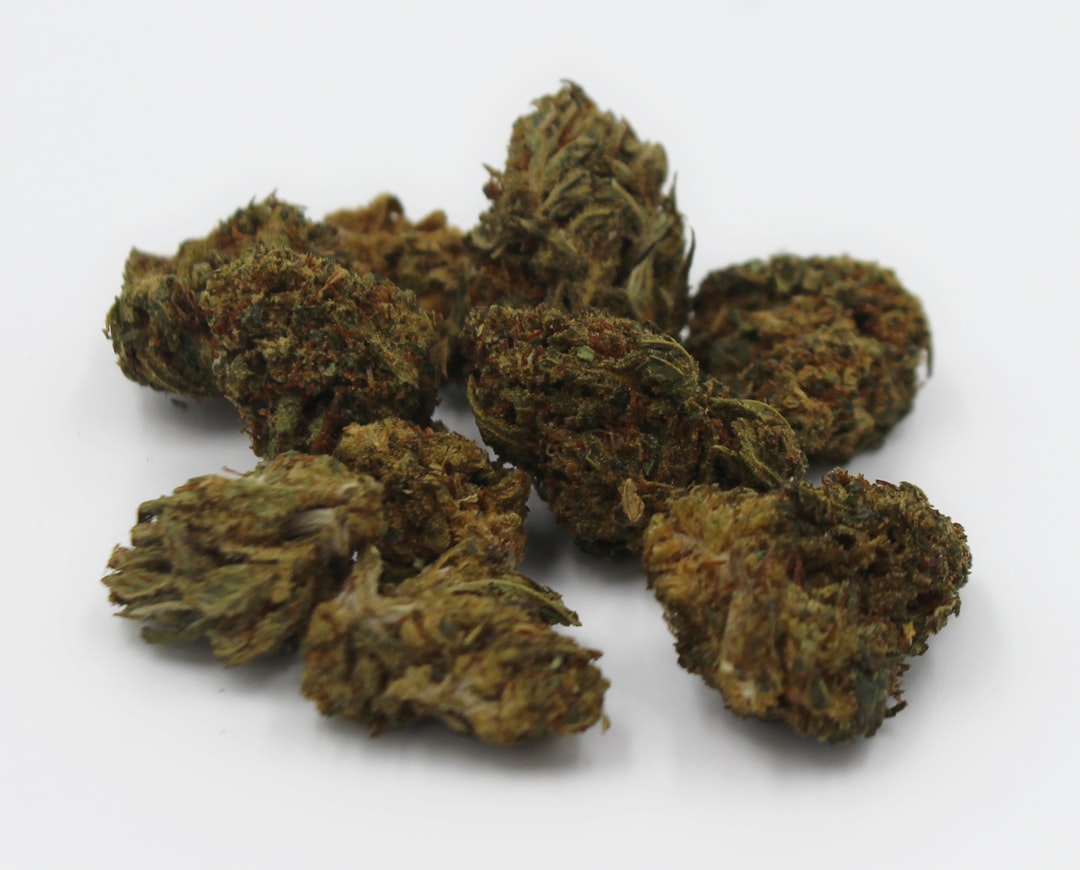 Photo cannabis buds